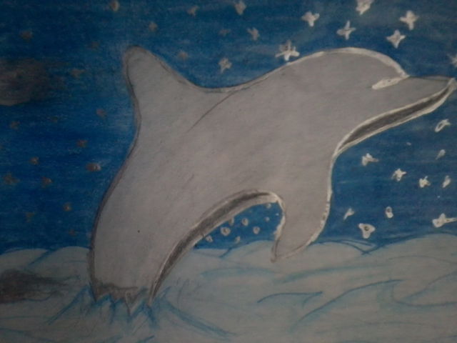 delfin color