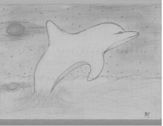delfin