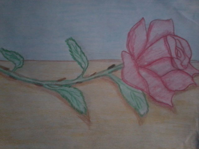 rosa